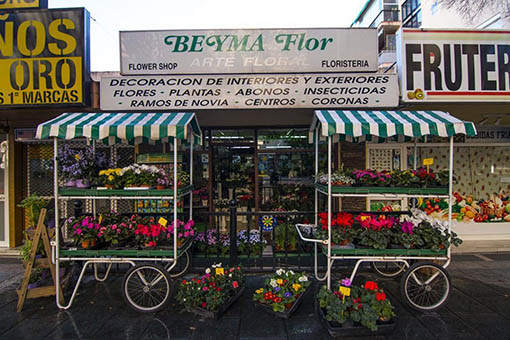 Floristería en Marbella Beyma Flor Floristería en Marbella Beyma Flor