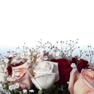 Floristería en Marbella Beyma Flor