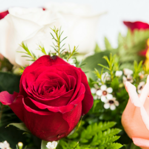 Floristería en Marbella Beyma Flor