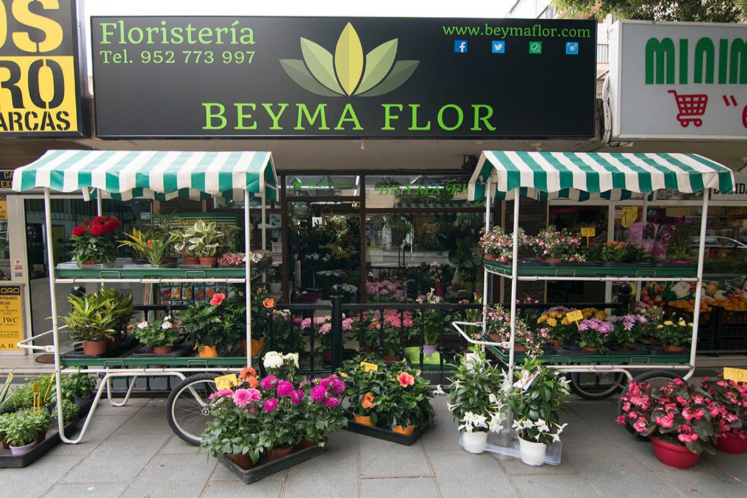 slider-2 (1) Floristería en Marbella Beyma Flor