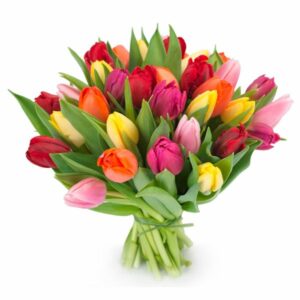 Ramo de Tulipanes
